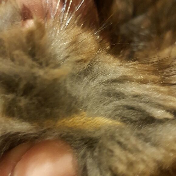 Super Cute Vintage Muskrat Double Breasted Coat - Picture 8 of 14